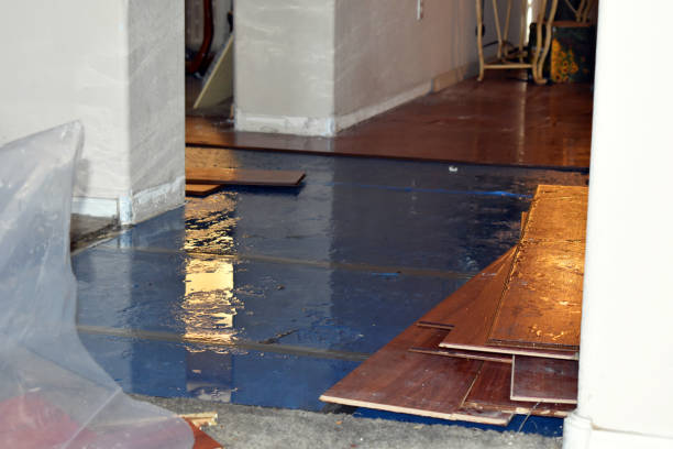 Professional Crawl Space Water Removal technician working in Reading, MI